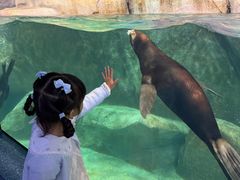 -福州罗源湾海洋世界旅游区