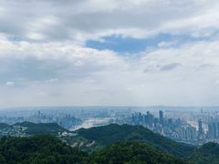 -大金鹰园