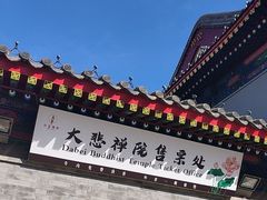 -天津大悲禅院