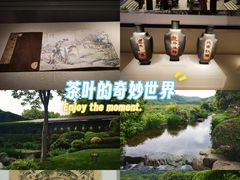 -中国茶叶博物馆(双峰馆区)