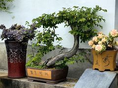 -渔梁坝