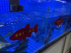 -鱼教头石泉老街石锅鱼(高新店)