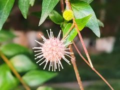 -玄武湖景区-情侣园游乐场