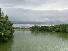 -绍兴镜湖国家城市湿地公园