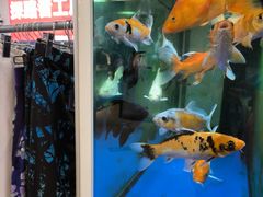 -探路者工厂店(宏福科技园店)