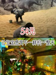 -恐龙探索乐园(磁器口店)