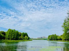 -暨阳湖大酒店-西餐厅