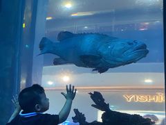 -乐从天佑城海洋馆