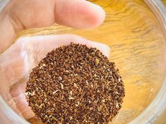 -Torch Coffee 炬点咖啡