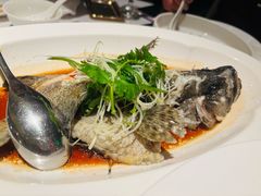 -顺峰(农展馆店)