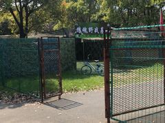 -贡湖湾湿地公园