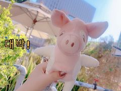 -813芭依珊 BAESAn(皇冠十畝地店)