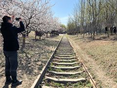 -永定河休闲森林公园