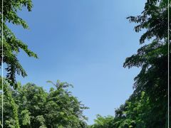 -大屏嶂森林公园
