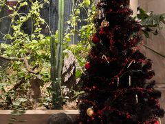 -漪龙台·B26 Rooftop Lounge