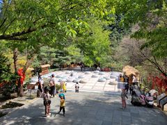 -苍山感通索道