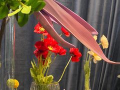 -大视光学•LINDBERG林德伯格•全球手工眼镜集合店(王府井店)