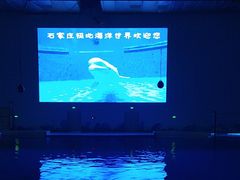 -石家庄极地海洋世界