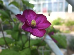 -国家植物园