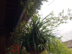 -香满楼(临安路店)