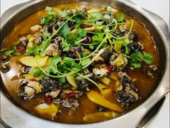 -黑河坝泡姜鸡贡椒鱼(贾旗路店)