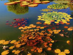 -国家植物园南园