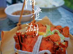 -海合安苏州阳澄半岛乐园