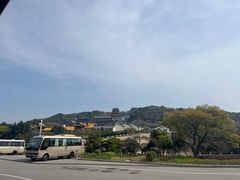-洲晓鲜·舟山海鲜大排档(朱家尖风景区店)