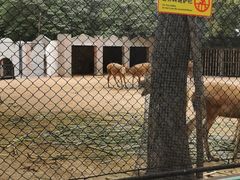 -保定市动物园