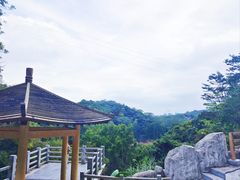 -阳台山森林公园
