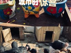 -HERRE·FARM 赫尔露营农场·团建聚会包场