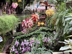 -正佳雨林生态植物园