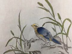 -学知乐教育·幼小衔接·小学科辅导(嘉定镇校区)