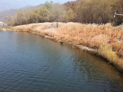 景点-玉渡山自然风景区