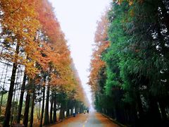 -山王坪喀斯特国家生态公园