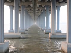 -宝安西湾红树林湿地公园