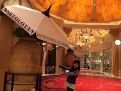 -拉斯维加斯永利酒店