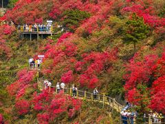 -木兰云雾山