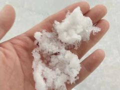 -世界之窗阿尔卑斯冰雪世界