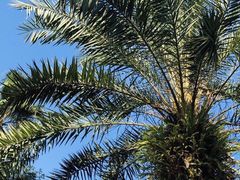 -美林湖温泉别墅度假村