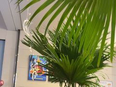 -HFFOUSA TACO弗萨塔可墨西哥餐厅(颐堤港店)