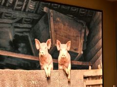 -田小狗的饭店(碧桂园店)