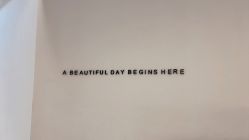 -本小姐美学·半永久纹眉野生眉