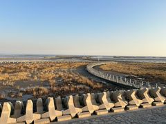 -南汇嘴观海公园