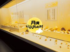 -青岛贝壳博物馆