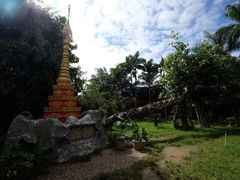 -瑞丽独树成林风景区