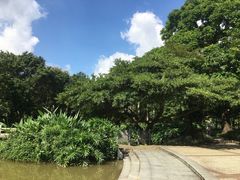 -云溪植物园