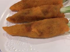 -丁老爷子苏香圆