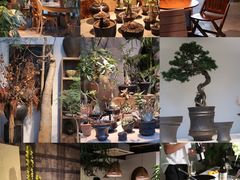 -自由生长植物工作室(深港花卉中心店)