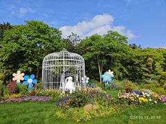 -上海共青森林公园